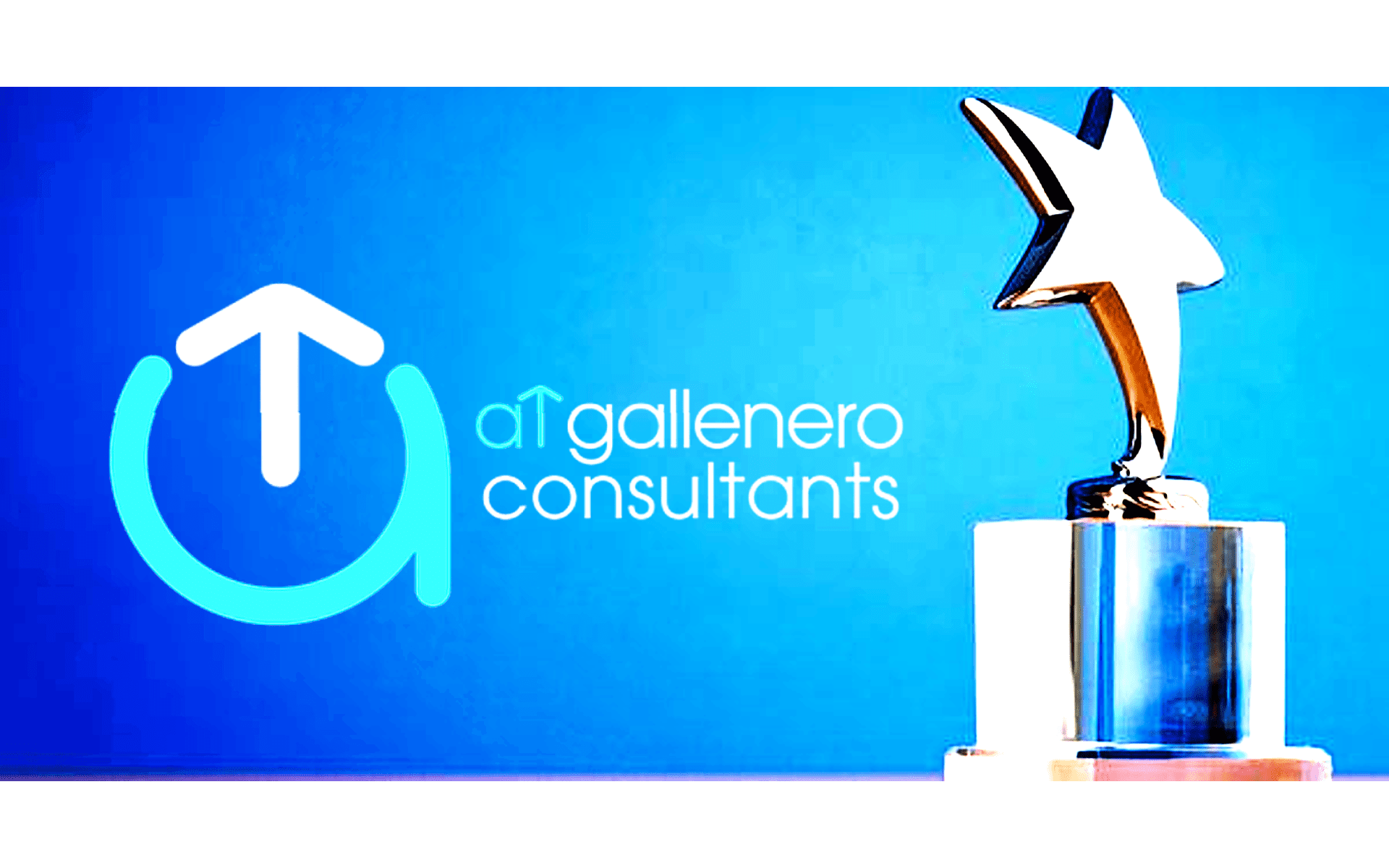 ATGallenero Consultants