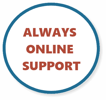 always online support