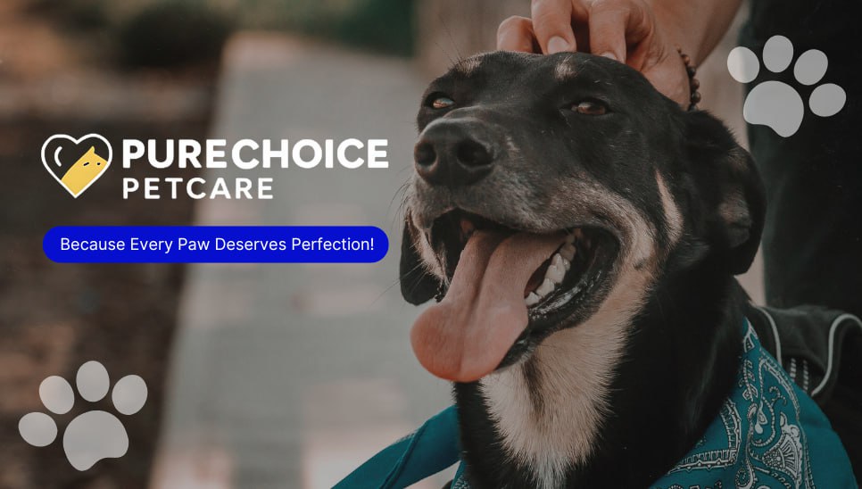 Featured image for “Welcome to PureChoice: Where Quality Meets Trust”
