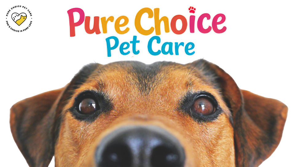 Featured image for “The PureChoice Promise: Unlocking Your Pet’s Best Life”